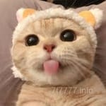 Avatar de Roxana Ruelas